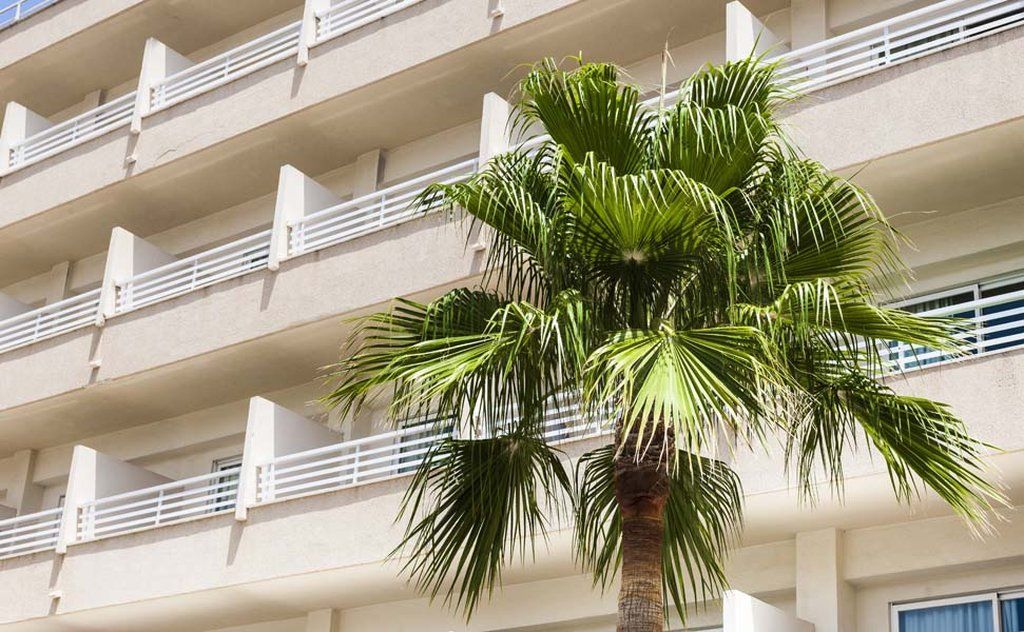 Отель Globales Santa Ponsa Park Экстерьер фото
